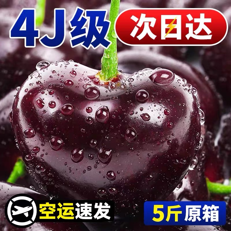 L【顺丰次日达】2J-4JD智利进口车厘子桑缇娜原箱5斤空运发货新鲜水果孕妈宝宝内附果径卡桑提娜樱桃智利共和国