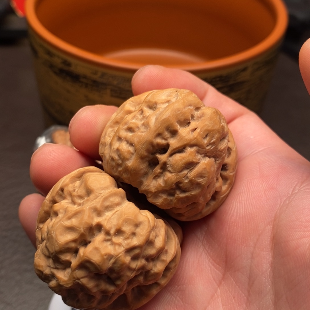 福利福利福利福利