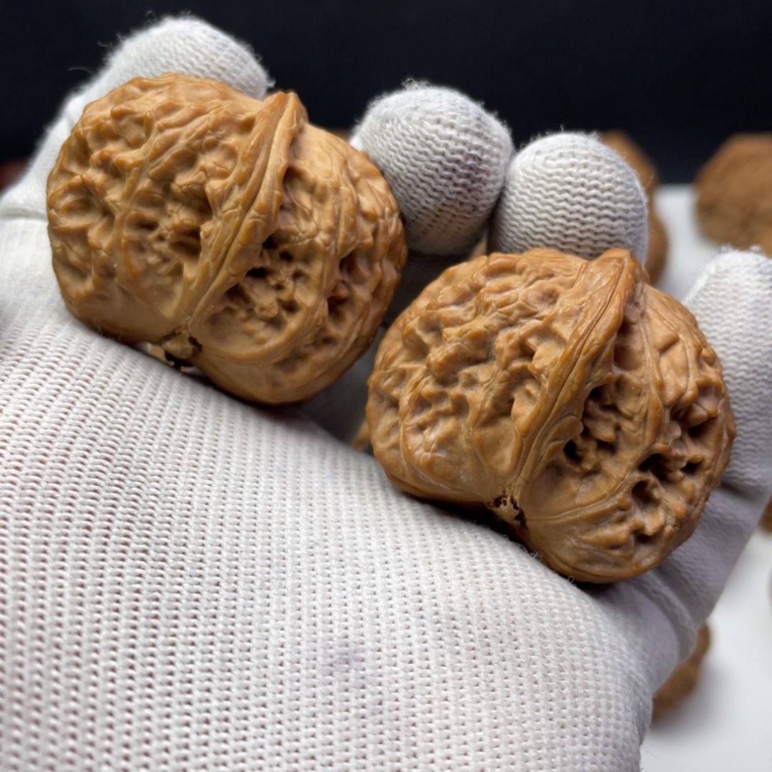 文玩核桃把件59白狮子半臂全品无修