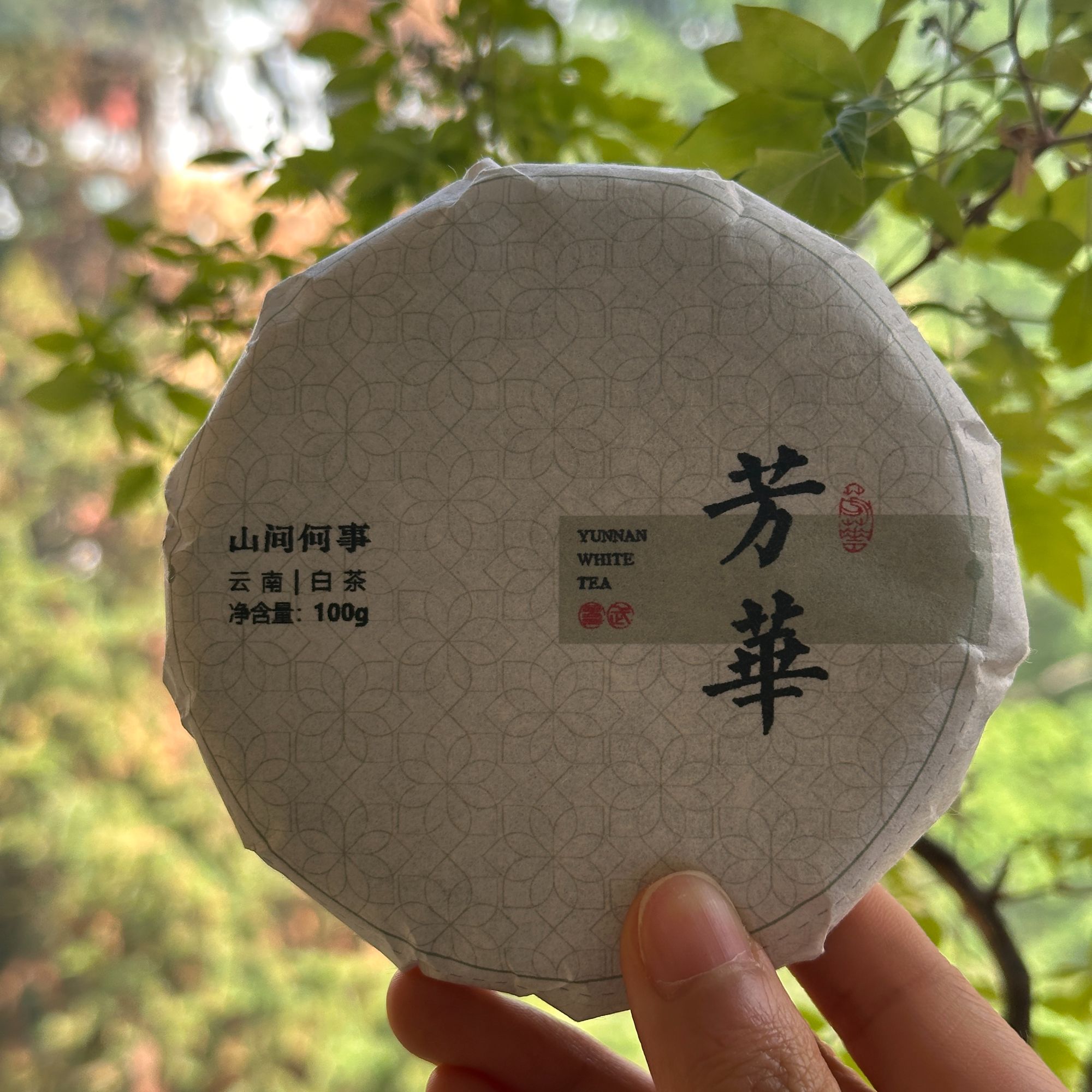 芳华2025易武白茶云南白茶饼茶100g/饼