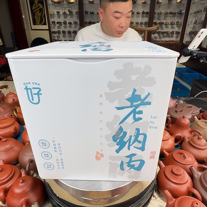 紫砂茶壶龙珠白茶