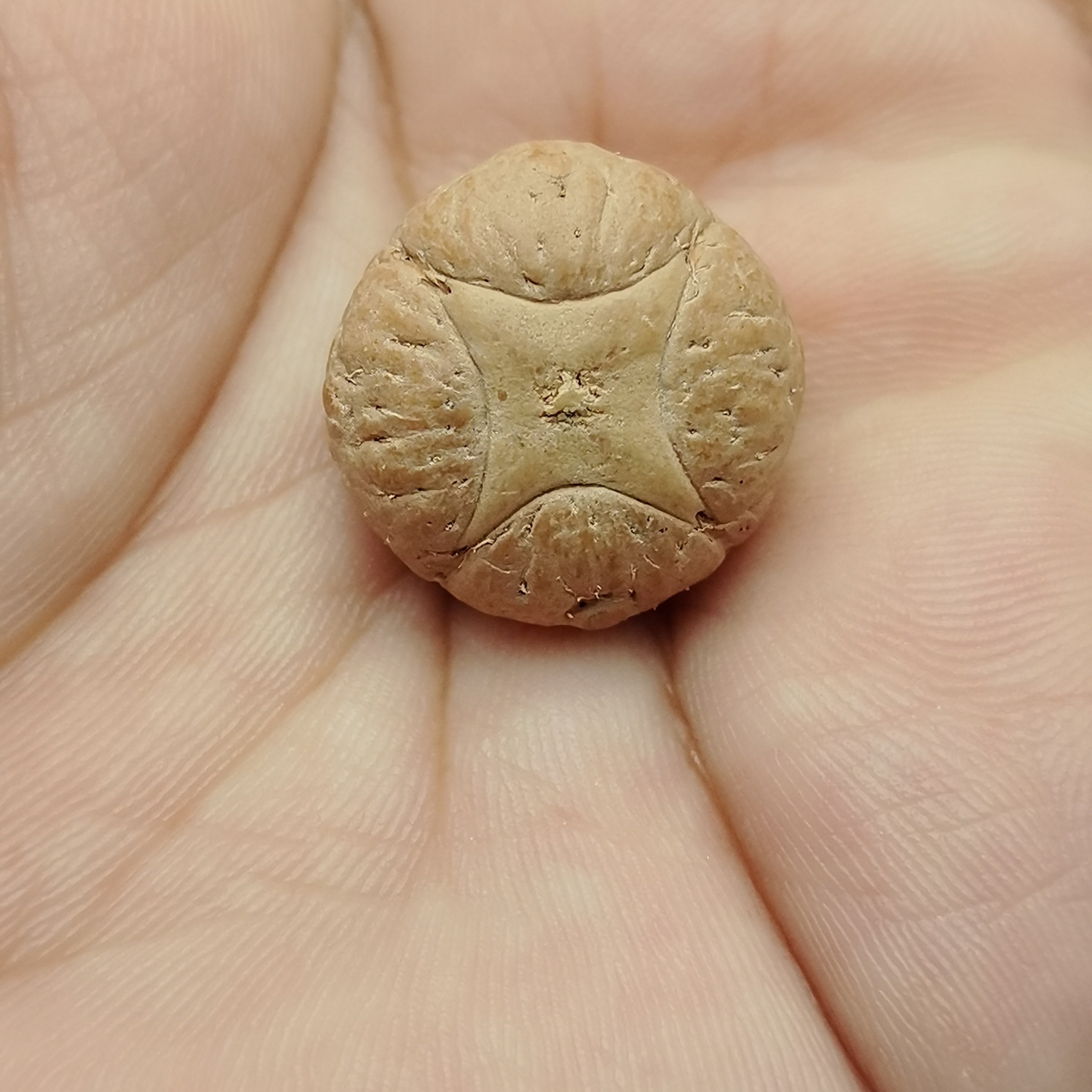 凤眼菩提新号开播专用改价链接
