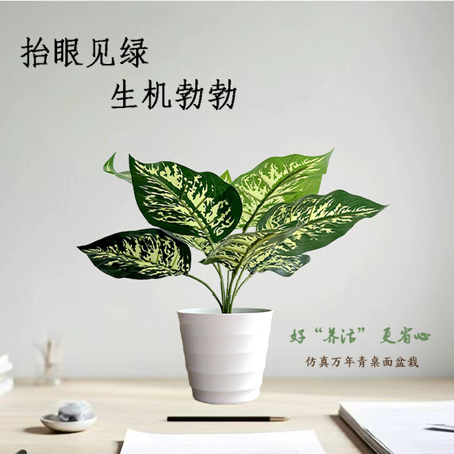 仿真绿植龟背竹 万年青植物室内仿真树 旅人蕉巴西小盆栽批发