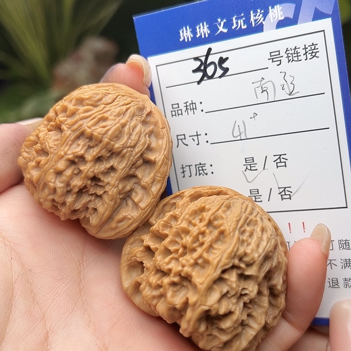 文玩核桃吊坠核桃树365