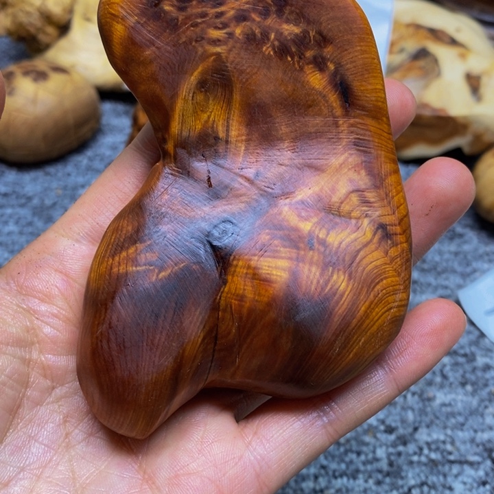 柏木（崖柏）崖柏124