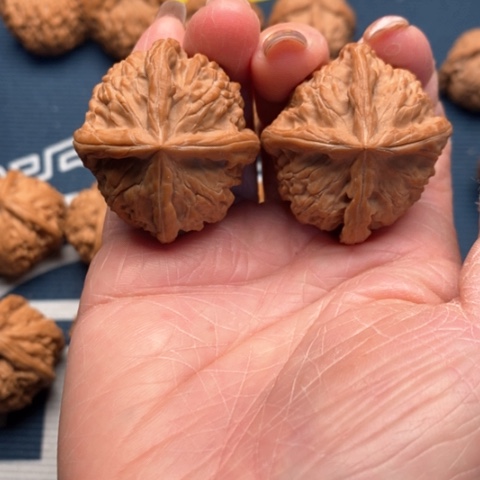 橄榄核手串/手链金锭四棱38