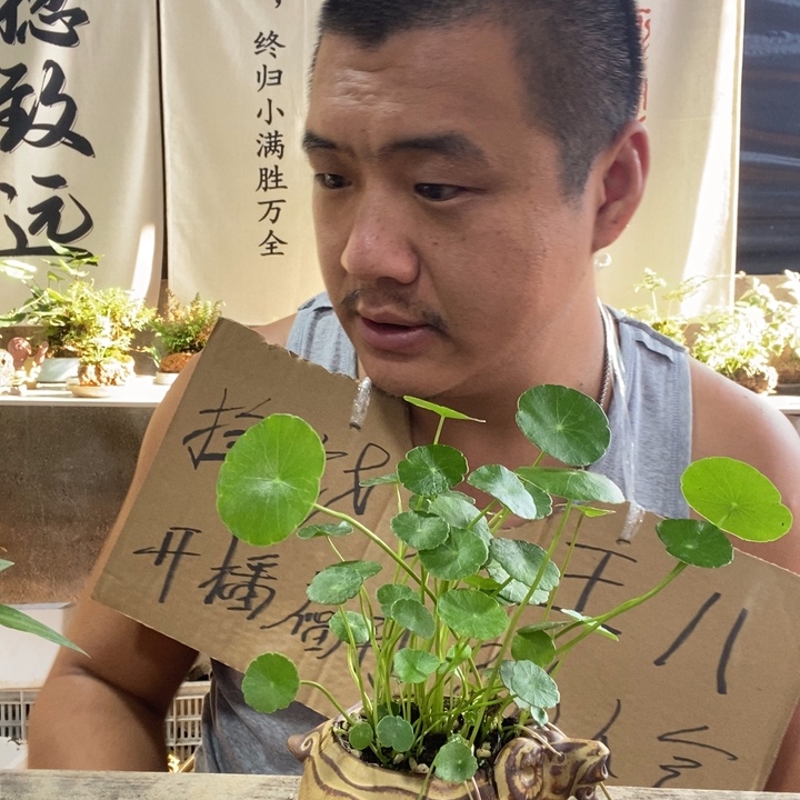 无花朵退款拉黑拉黑45