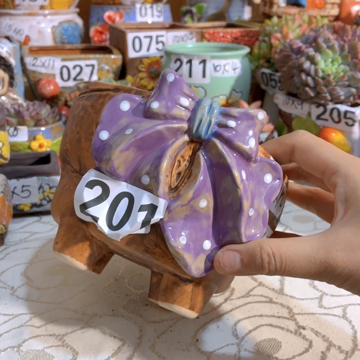 多肉花盆满15发，爱退款拉黑