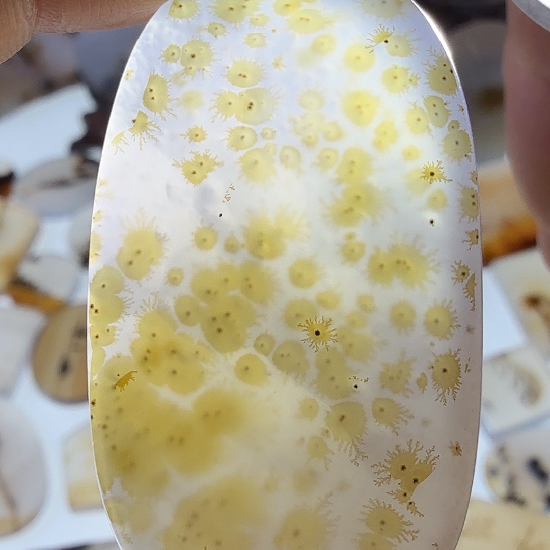 玛瑙/玉髓未镶嵌珠宝半成品