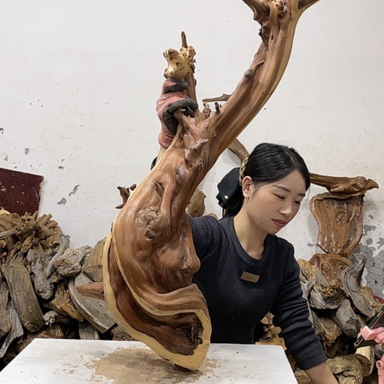 【闪购商品】柏木轩**龙我们都是好孩子