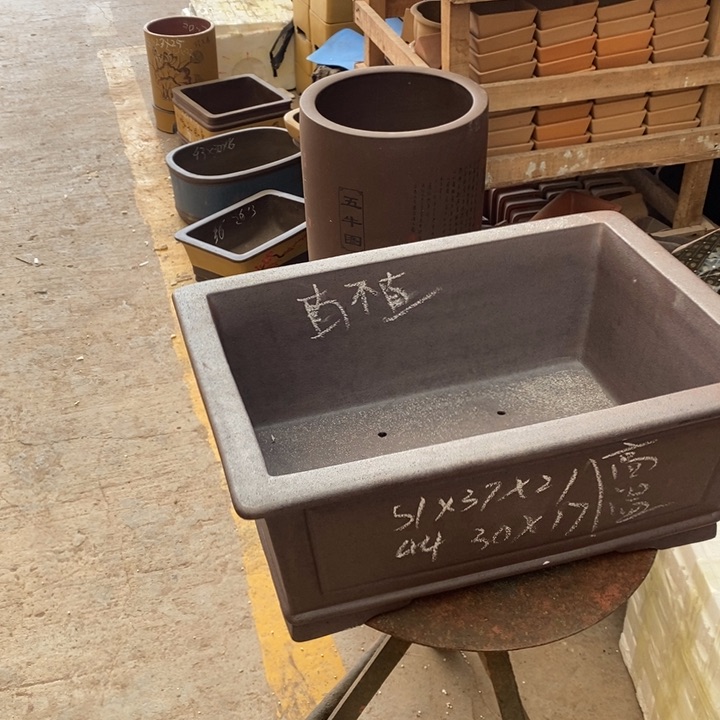 紫砂花盆白天睡多了