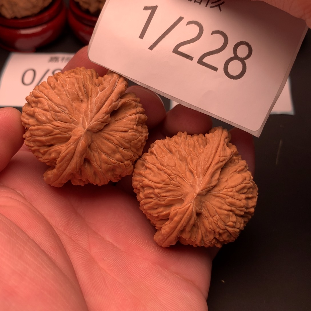 文玩核桃把件满肉球体全品白狮子45