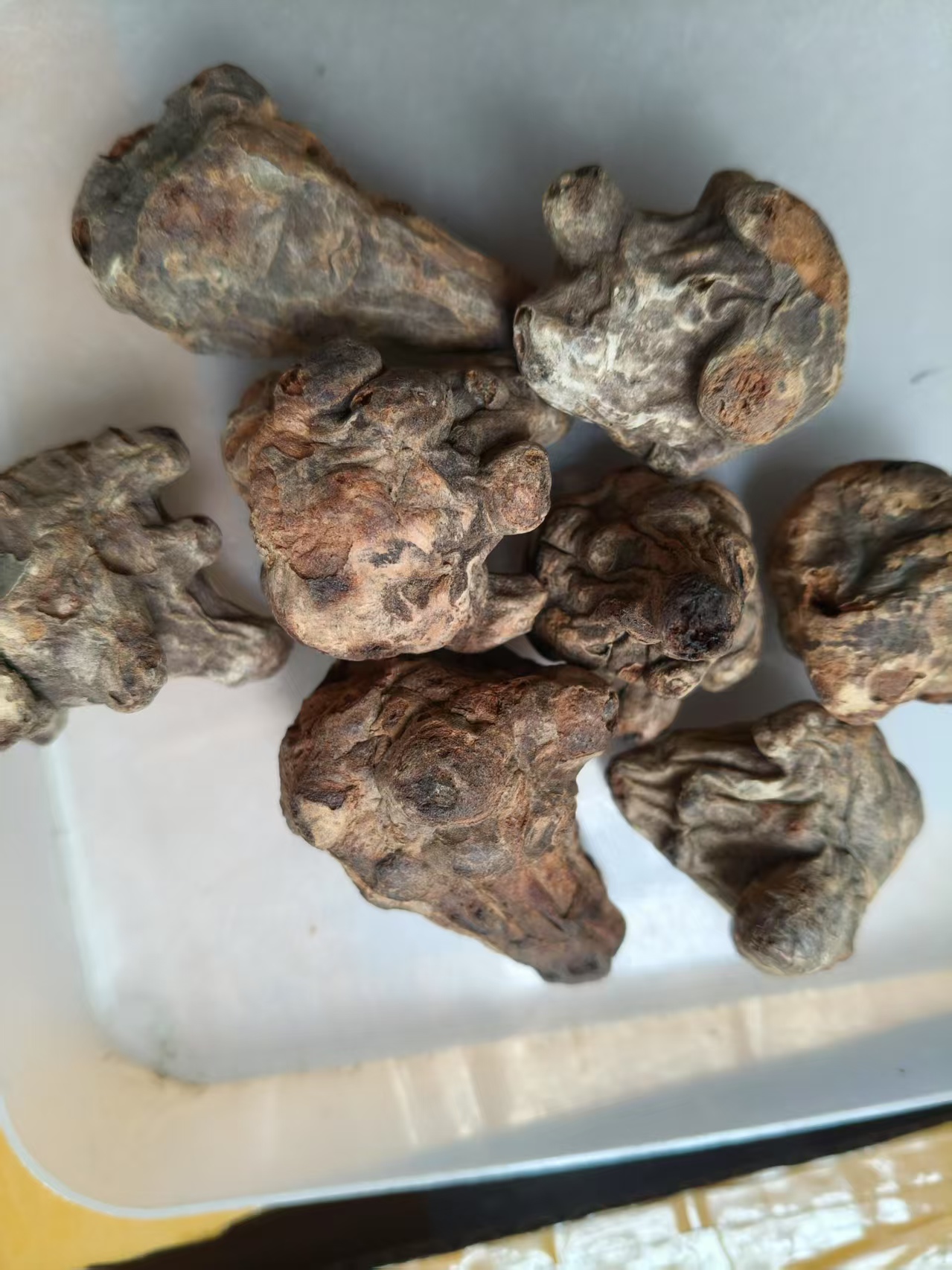 江油柳木炮个子整个