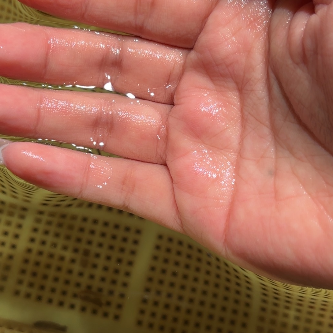 O***哥金鱼拍包装包装，不拍包装运费到付