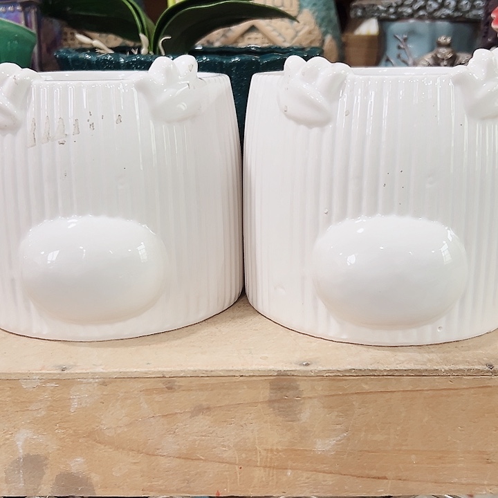 陶瓷花盆13/12……花盆