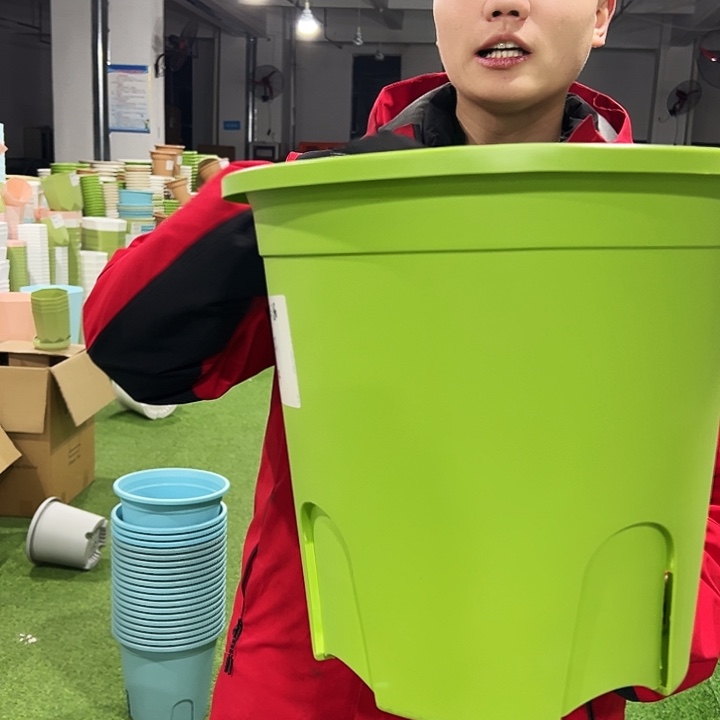正品圆控口37高34果绿色3只无托