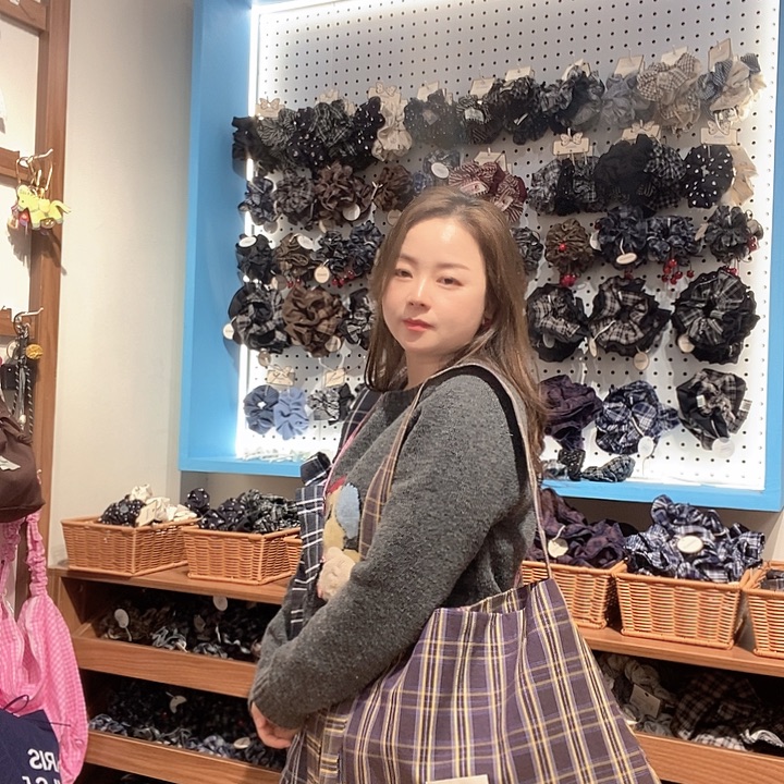 布艺铁合金紫色格子包包