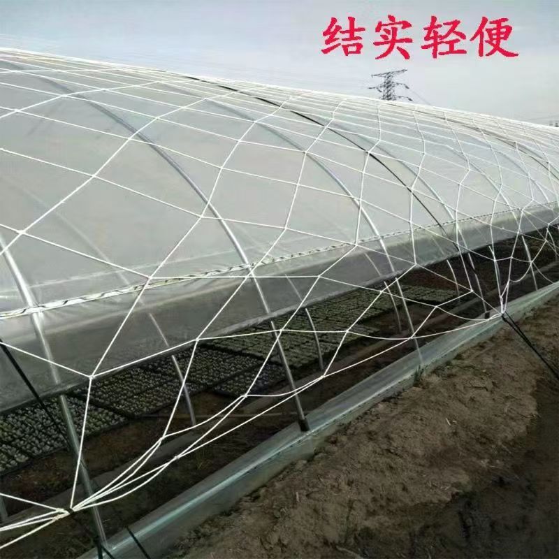大棚防风网户外大棚网家用农用大棚亚膜绳网养殖挡风网草垛网