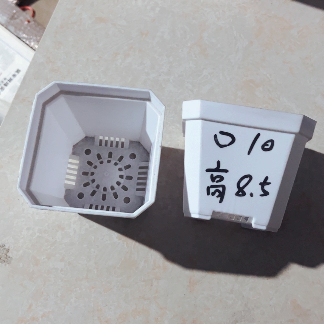 塑料加厚斜角款10方白色盆10个无托