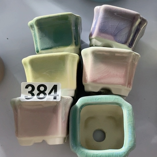 多肉植物花盆花盆