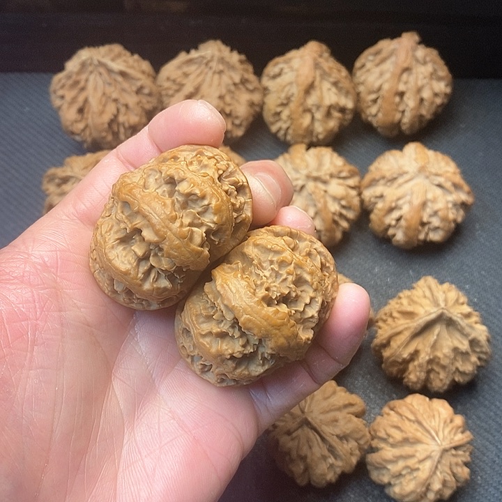 Q****g我我的小哥哥小姐姐们