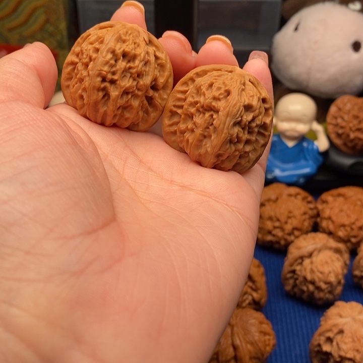 烟***憾核桃35尺小白狮子