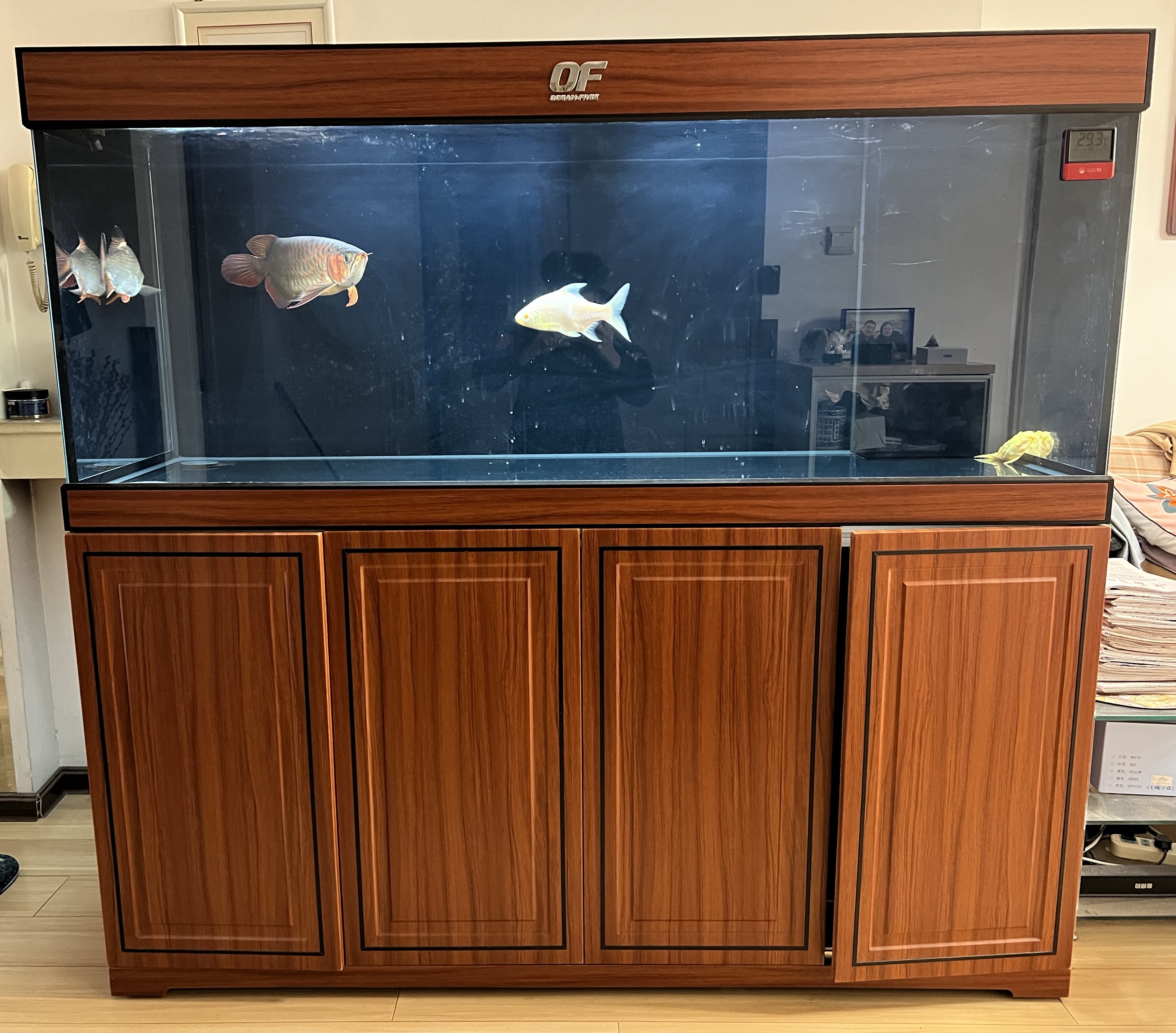 仟湖仟湖精品二手缸 1.8长 68宽