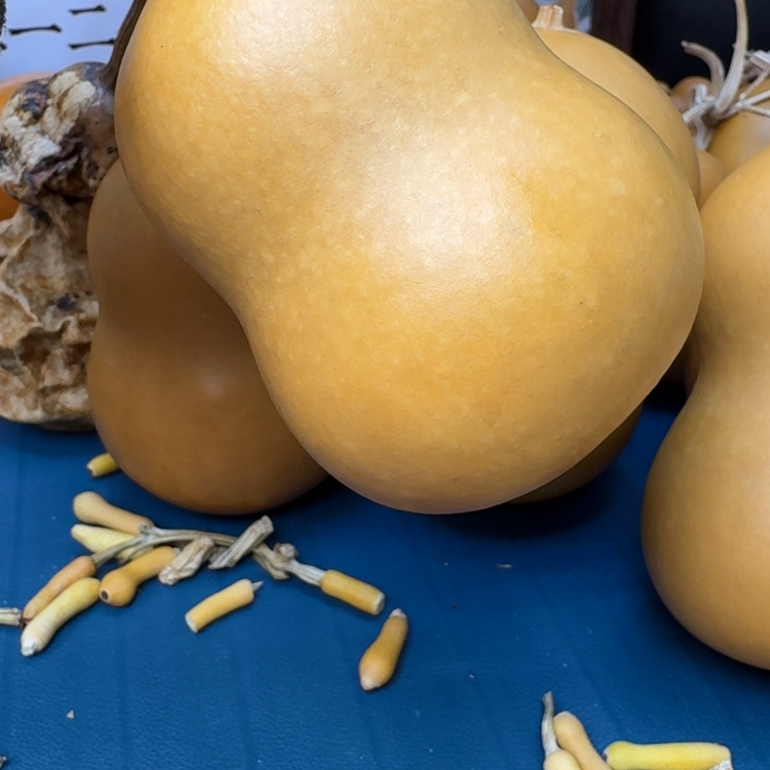 柱***子葫芦葫芦葫芦葫芦