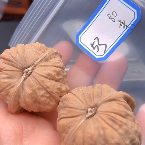 文玩核桃吊坠来**子南瓜