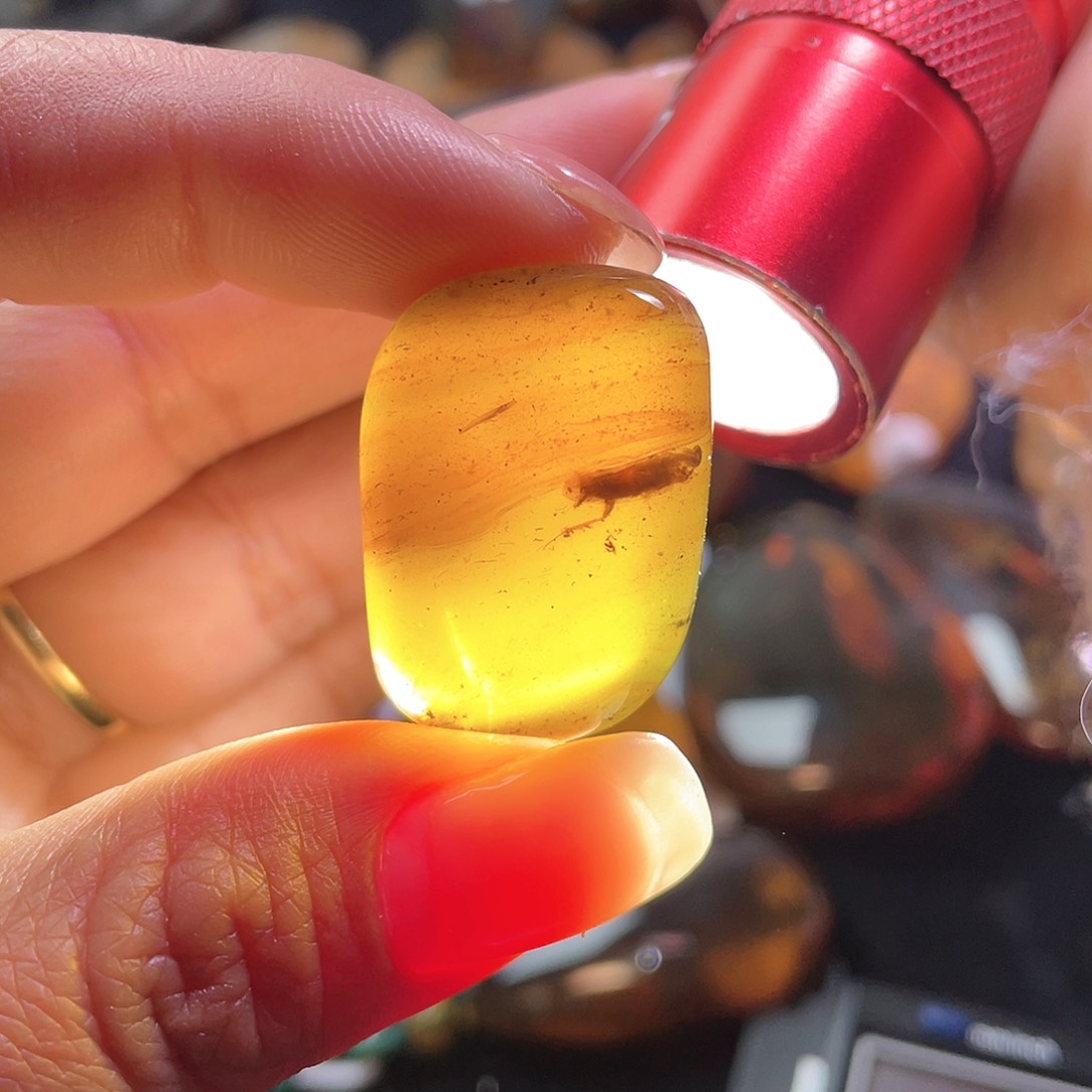 琥珀裸石未镶嵌！