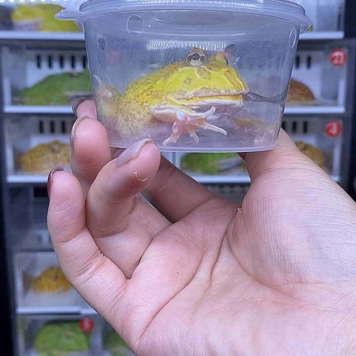 特价秒杀现货供应