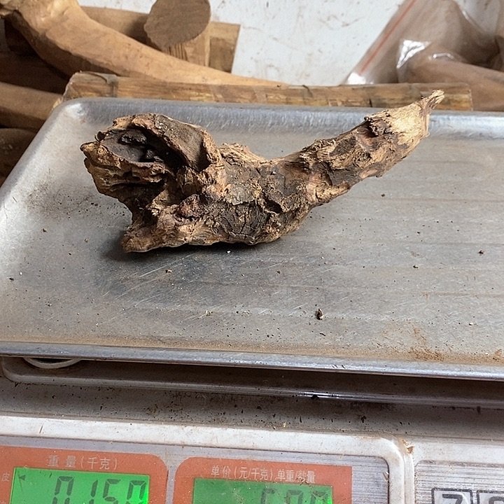 黄花梨/降香黄檀炎***园