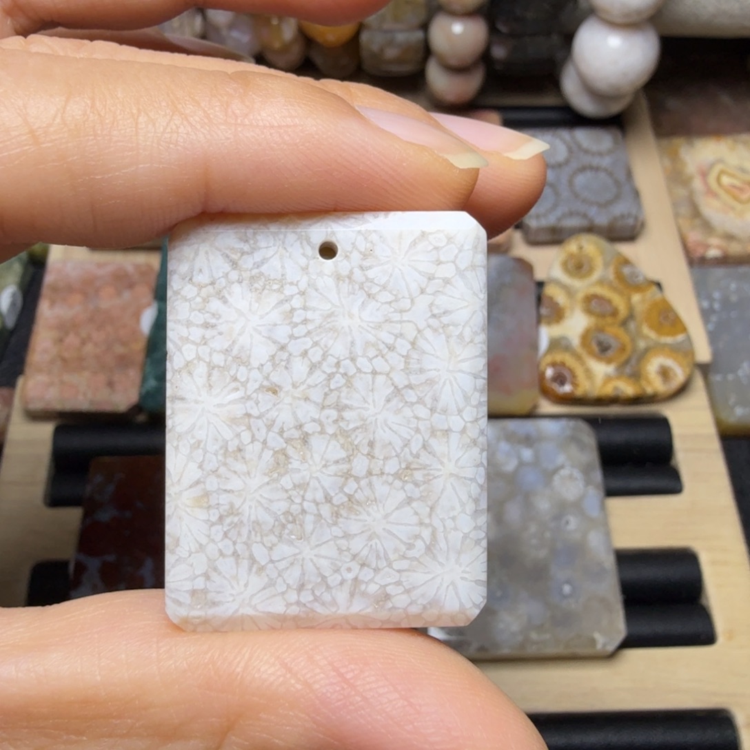 硅化玉未镶嵌白花，有骨骼