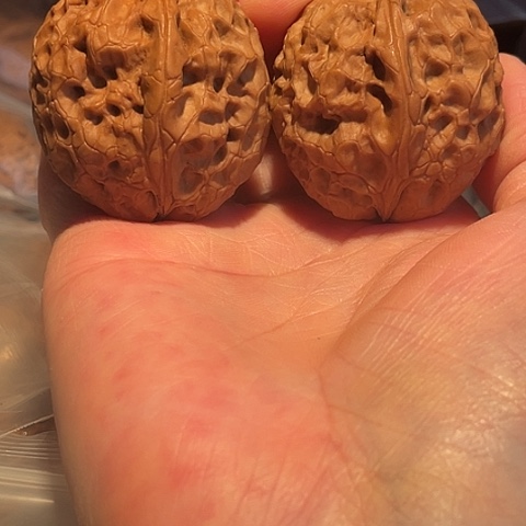 把件文玩核桃牡丹纹带彩40