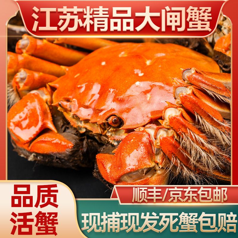 活蟹溱湖湖心蟹大闸蟹 全母5.2-4.8两 6只装