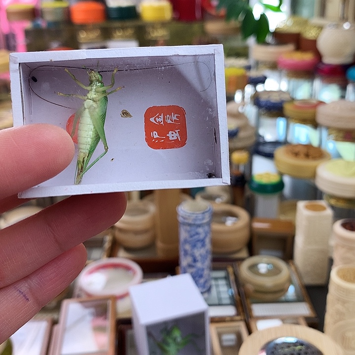 【***】霍氏一只啊啊啊啊啊