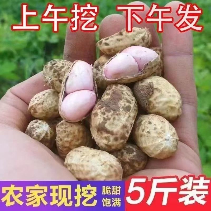 通城特产本地新鲜花生5斤装