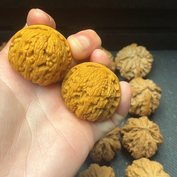 我是一只小小鸟地域鬼的