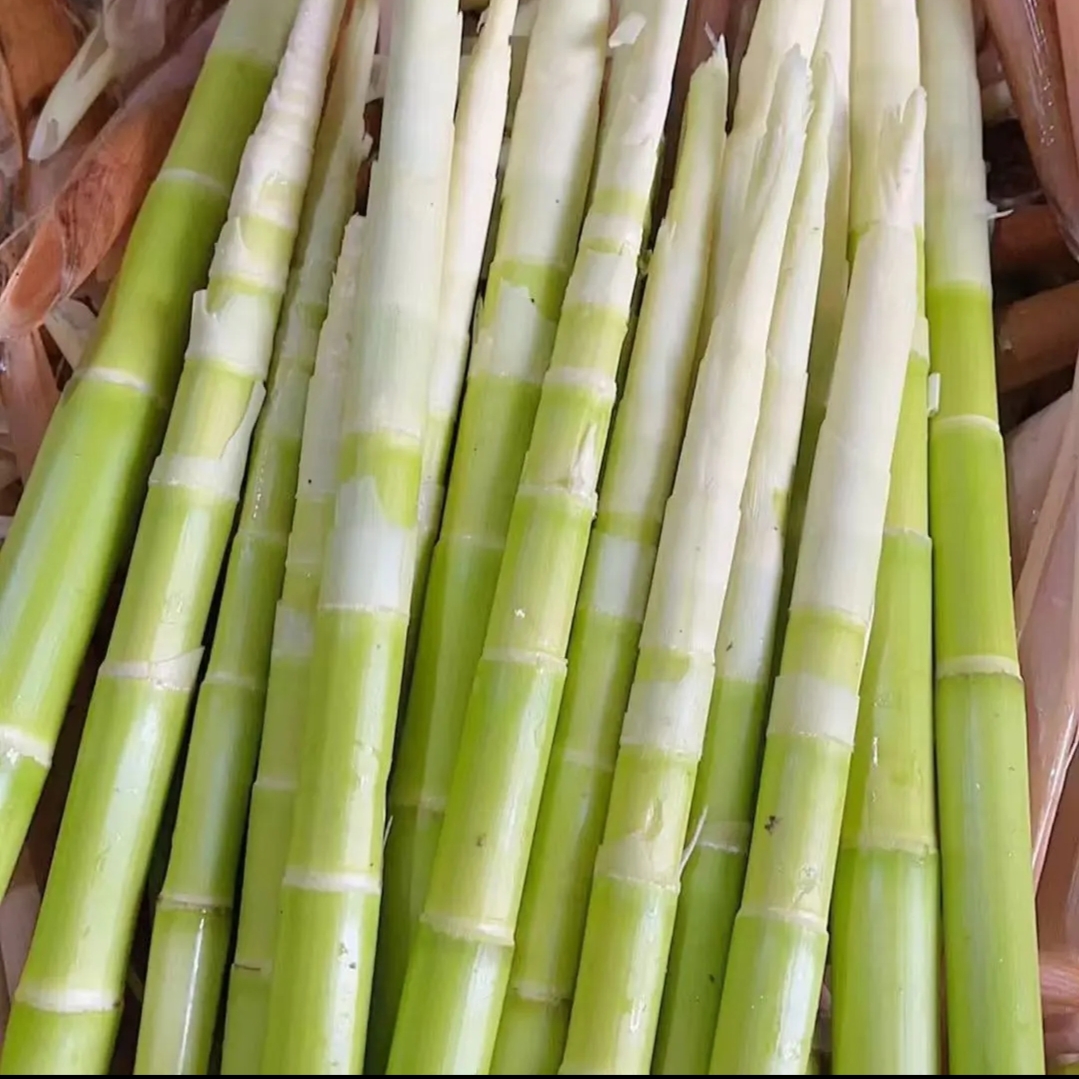 去壳焯水笋肉湖南小竹笋春笋新鲜野生当季新鲜蔬菜真空包装发货