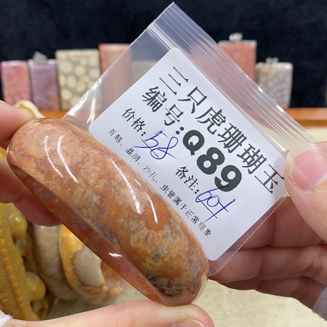 硅化珊瑚（珊瑚玉）1未镶嵌妞**贝