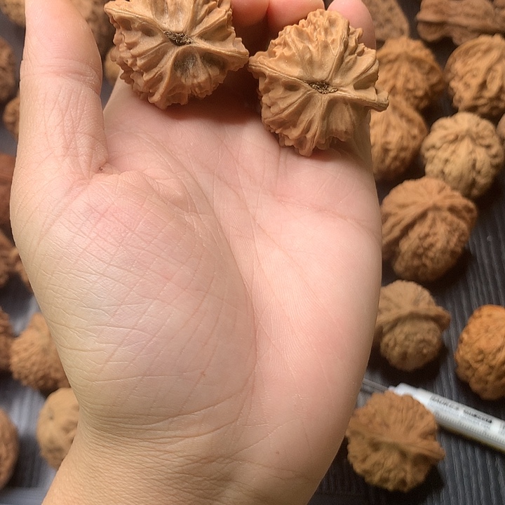 沧***士吊坠文玩核桃天地