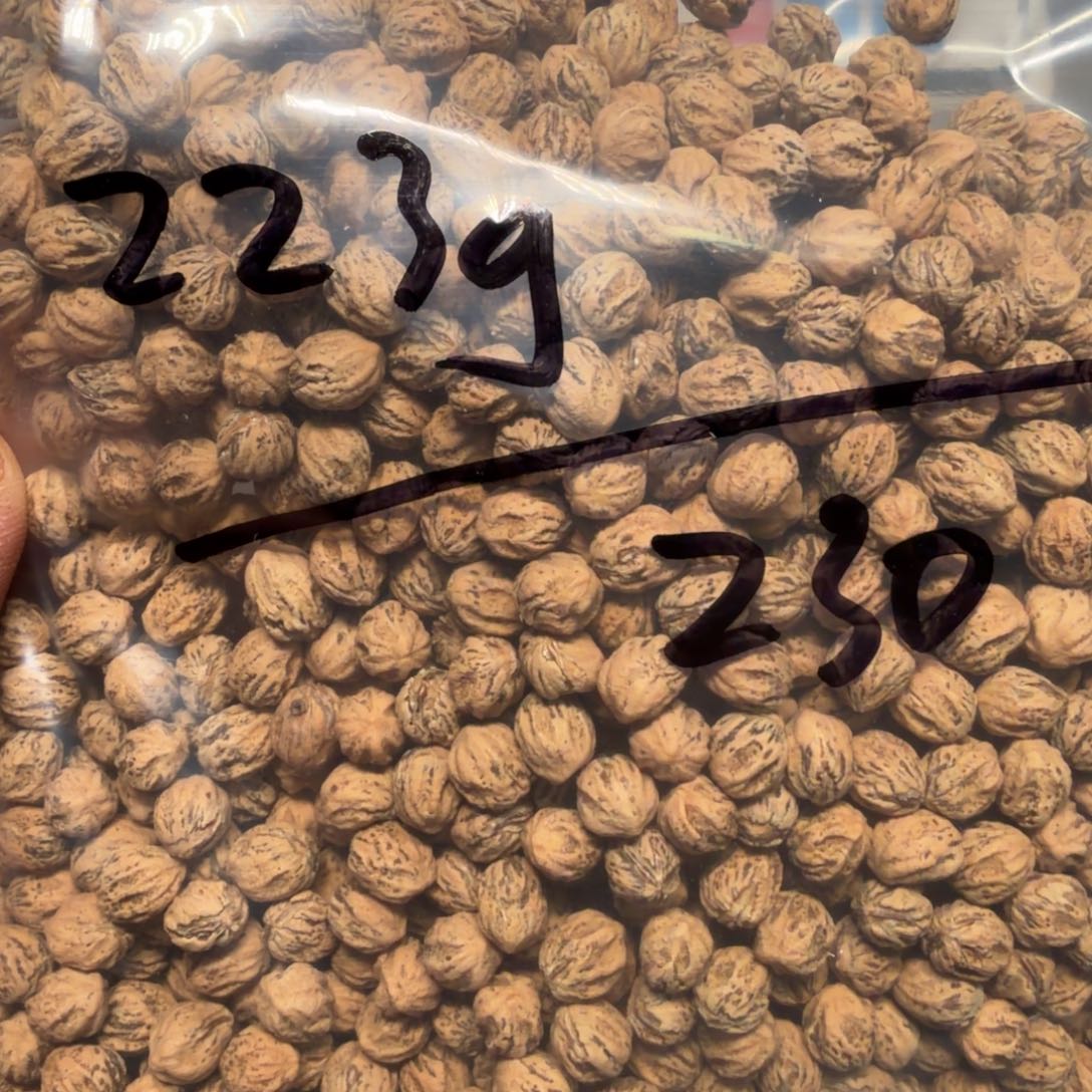 吊坠柏香籽/百香籽林*