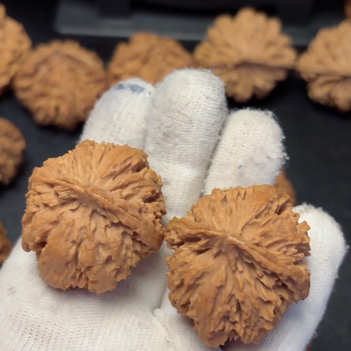 文玩核桃吊坠用****5秦岭野生灯笼36