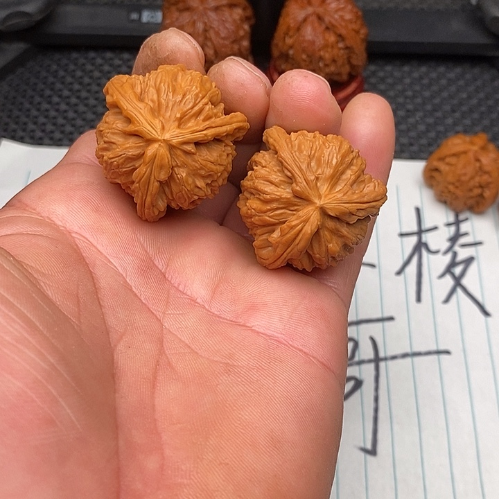 核桃把件拼接白狮子2