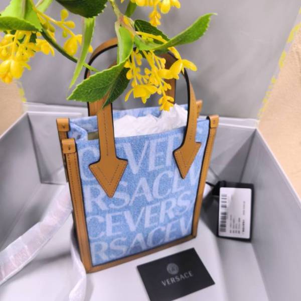 包包/范思哲/未使用/251012EV0008/C14039597724