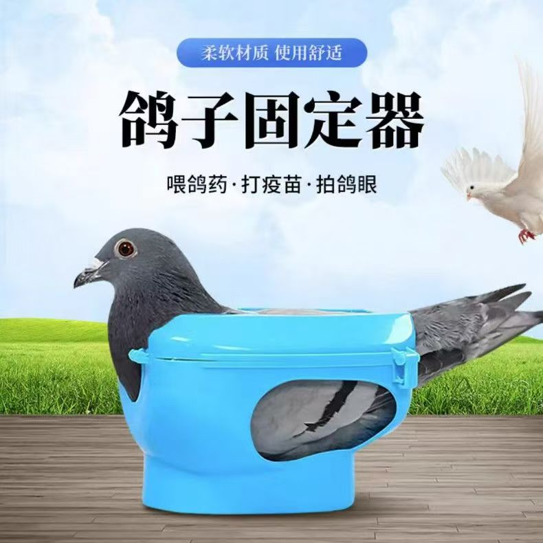 鸽子固定器多功能防跑喂药打针看鸽眼信鸽辅助工具固定架