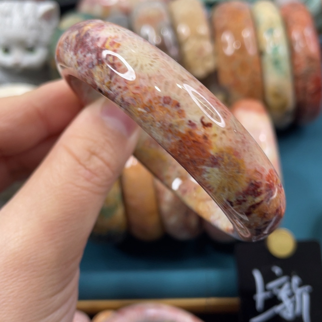未镶嵌手镯硅化玉