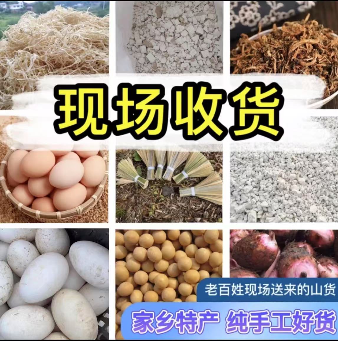 【现场一物一拍】老乡当季蔬菜现场自由搭配选择