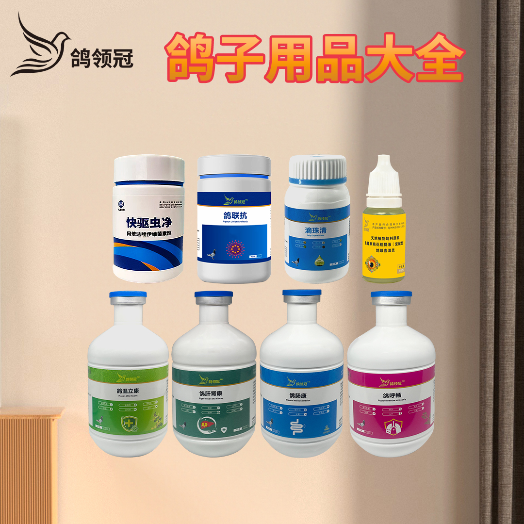 鸽领冠常见问题搭配方案小瓶装