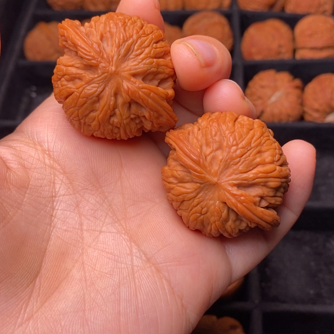 文玩核桃把件秦岭野生核桃